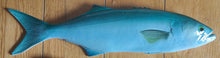 Load image into Gallery viewer, Bluefish