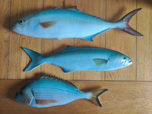 Load image into Gallery viewer, Bluefish