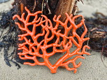 Load image into Gallery viewer, Coral Various