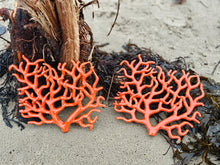Load image into Gallery viewer, Coral Various