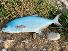 Load image into Gallery viewer, Leerfish