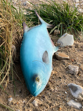 Load image into Gallery viewer, Leerfish