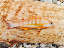 Load image into Gallery viewer, Painted Comber