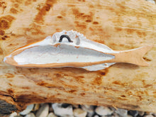 Load image into Gallery viewer, Painted Comber