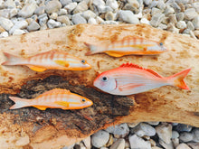 Load image into Gallery viewer, Painted Comber