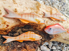 Load image into Gallery viewer, Painted Comber