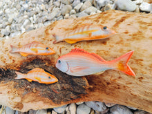 Load image into Gallery viewer, Painted Comber