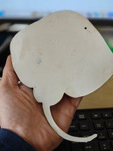 Load image into Gallery viewer, Cuckoo Ray