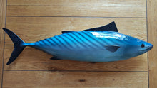 Load image into Gallery viewer, Atlantic Bonito