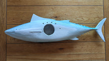 Load image into Gallery viewer, Atlantic Bonito