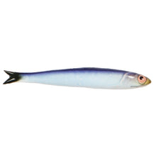 Load image into Gallery viewer, Anchovy