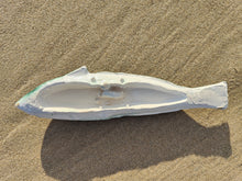 Load image into Gallery viewer, Rainbow Wrasse Small