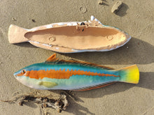 Load image into Gallery viewer, Rainbow Wrasse
