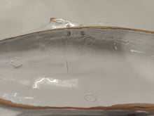 Load image into Gallery viewer, Atlantic Amberjack