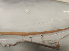 Load image into Gallery viewer, Atlantic Amberjack