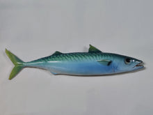 Load image into Gallery viewer, Mackerel
