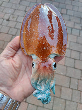 Load image into Gallery viewer, Cuttlefish 21cm