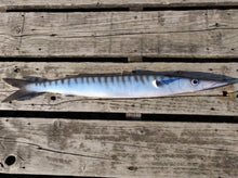 Load image into Gallery viewer, Barracuda Large