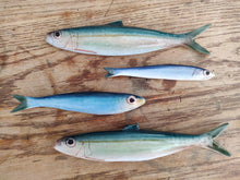 Load image into Gallery viewer, Pilchard