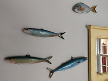 Load image into Gallery viewer, Pilchard