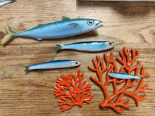 Load image into Gallery viewer, Coral Various