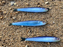 Load image into Gallery viewer, Anchovy