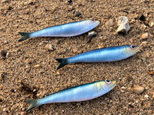 Load image into Gallery viewer, Sardine