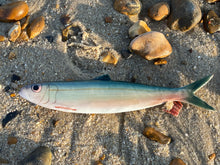 Load image into Gallery viewer, Pilchard