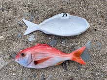 Load image into Gallery viewer, Red Snapper 17cm