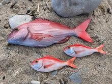 Load image into Gallery viewer, Red Snapper 17cm