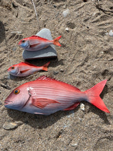 Load image into Gallery viewer, Red Snapper 17cm
