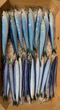 Load image into Gallery viewer, Anchovy