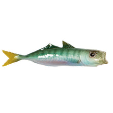 Load image into Gallery viewer, Horse Mackerel
