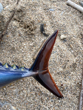 Load image into Gallery viewer, Yellowfin Tuna 40cm