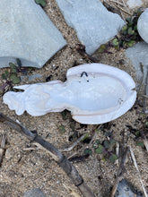 Load image into Gallery viewer, Cuttlefish 21cm