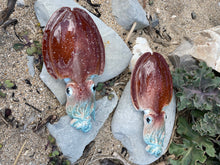 Load image into Gallery viewer, Cuttlefish 21cm