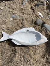 Load image into Gallery viewer, Sea Bream Black 24cm