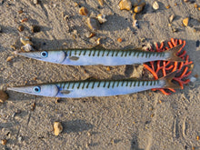 Load image into Gallery viewer, Barracuda