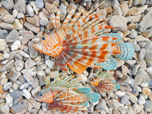 Load image into Gallery viewer, Scorpion/Lion Fish 50cm
