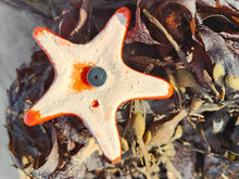 Load image into Gallery viewer, Starfish B Orange
