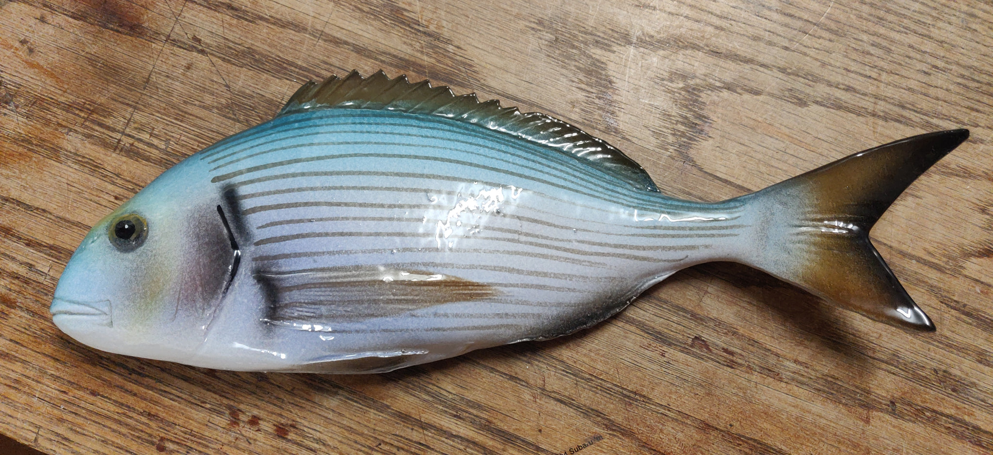 Sea Bream Gilthead Large – The Shoal