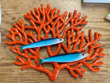 Load image into Gallery viewer, Coral Various
