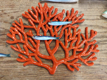 Load image into Gallery viewer, Coral Various
