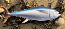 Load image into Gallery viewer, Yellowfin Tuna 20cm
