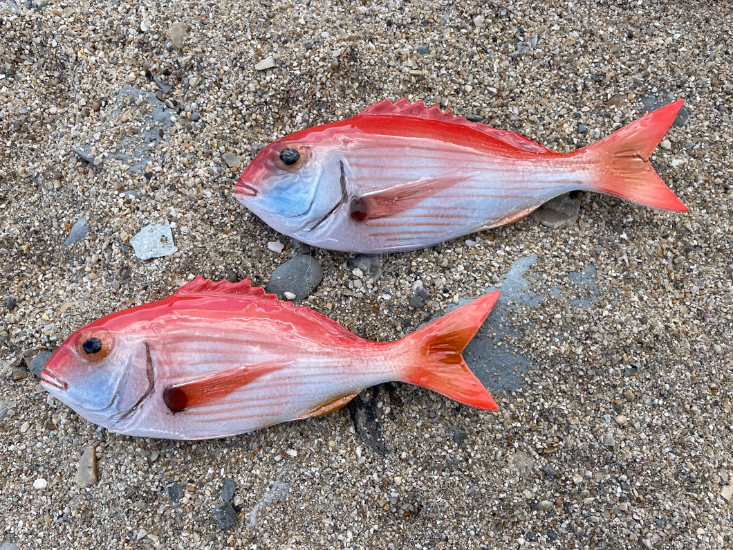 Red Snapper Small