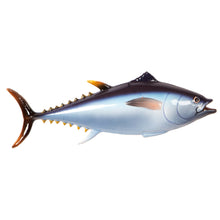 Load image into Gallery viewer, Yellowfin Tuna 65cm
